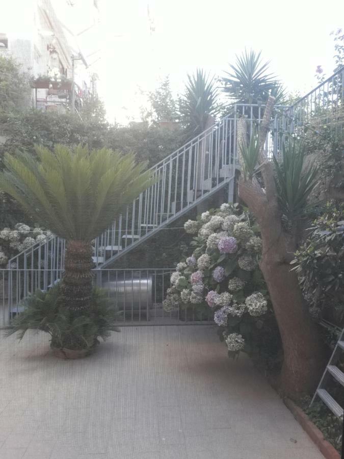 Il Cortile Villa Ravello Exteriör bild